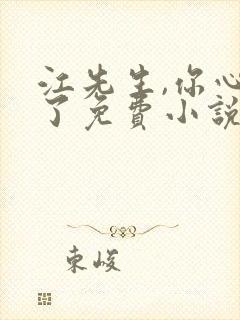 江先生,你心动了免费小说