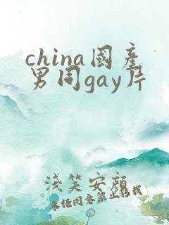 china国产男同gay片