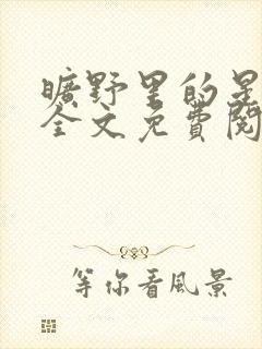 旷野里的星小说全文免费阅读