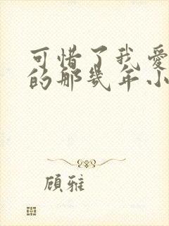 可惜了我爱着你的那几年小说免费阅读