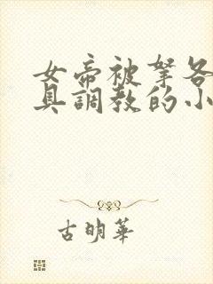 女帝被拿各种刑具调教的小说