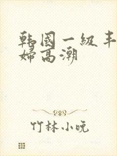 韩国一级丰满少妇高潮