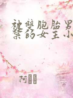 被双胞胎男主囚禁的女主小说