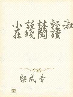 小说林轻淑陈凡在线阅读