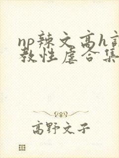 np辣文高h调教性虐合集