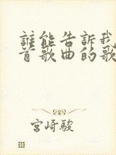 谁能告诉我是哪首歌曲的歌词