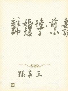 离婚后,前妻她帅爆了 小说