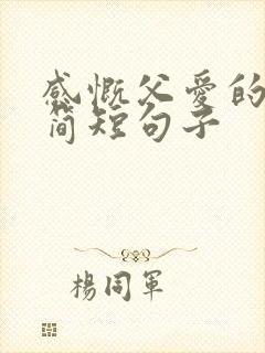 感慨父爱的唯美简短句子