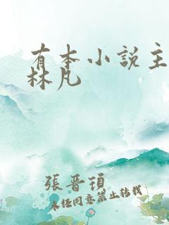 有本小说主角叫林凡