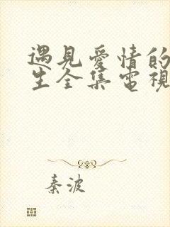 遇见爱情的利先生全集电视剧