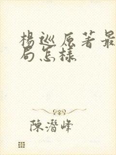 杨巡原著最后结局怎样