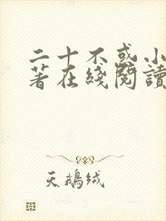 二十不惑小说原著在线阅读