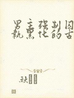 男主强制囚禁偏执黑化的古言