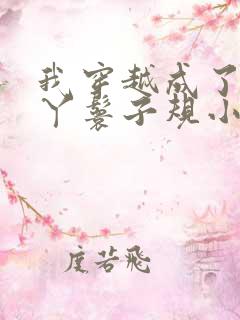 我穿越成了一个丫鬟子规小说