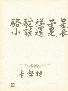 骆驼祥子是短篇小说还是长篇小说