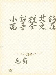 小说校花的贴身高手全文在线阅读