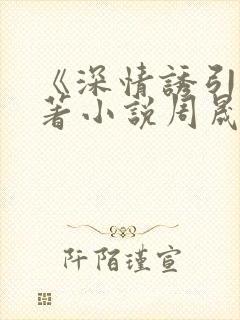 《深情诱引》原著小说周晟安结局