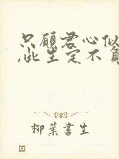 只愿君心似我心,此生定不负相思意