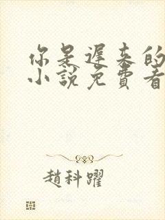 你是迟来的欢喜小说免费看