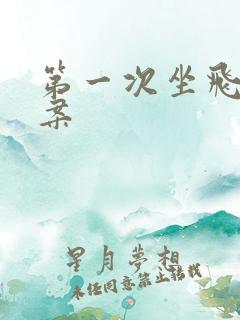 第一次坐飞机文案