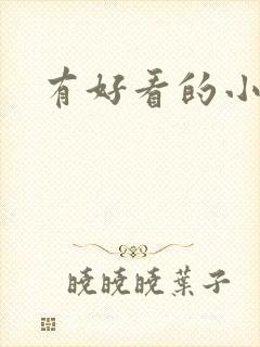 有好看的小说吗