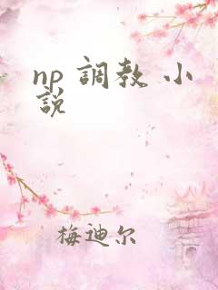 np 调教 小说