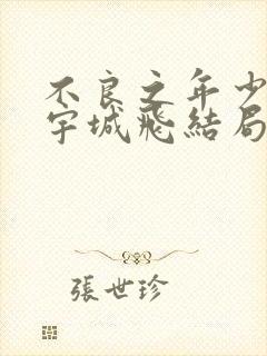 不良之年少轻狂宇城飞结局