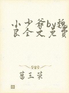 小少爷by魏丛良全文免费阅读