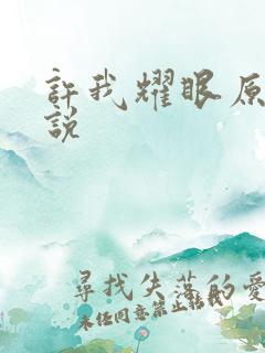 许我耀眼原著小说