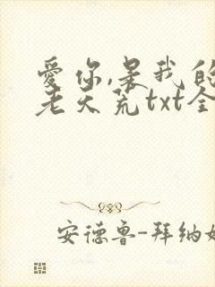 爱你,是我的地老天荒txt全文下载