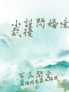 小说闪婚亿万总裁后