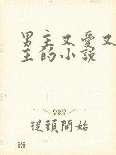 男主又爱又恨女主的小说