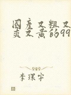 国产又粗又猛又爽又黄的99视频