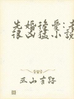 先婚后爱:老公很凶猛小说免费阅读全文