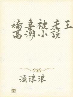 娇妻被老王脔到高潮小说