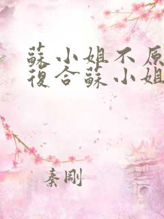 苏小姐不原谅不复合苏小姐独美在线阅读