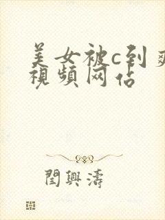 美女被c到爽的视频网站