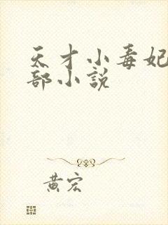 天才小毒妃第三部小说