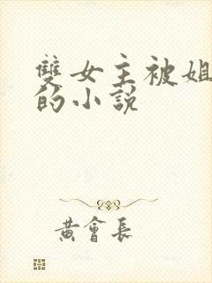 双女主被姐姐揍的小说