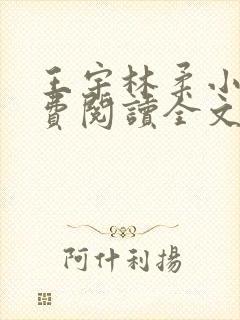 王宇林柔小说免费阅读全文最新章节