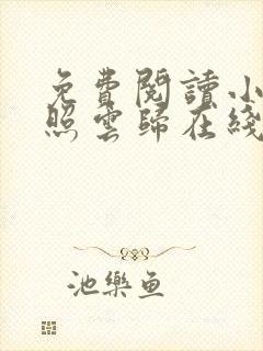 免费阅读小说曾照云归在线阅读全文