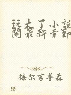 玩大了小说笔趣阁最新章节无弹窗