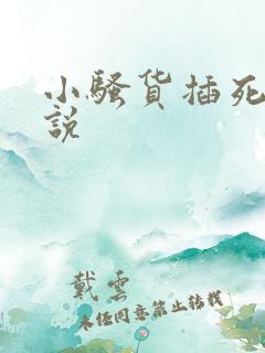 小骚货插死你小说