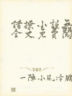 错撩小说无删减全文免费阅读