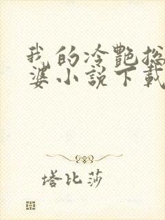 我的冷艳总裁老婆小说下载