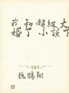 我和超级大佬隐婚了 小说下载