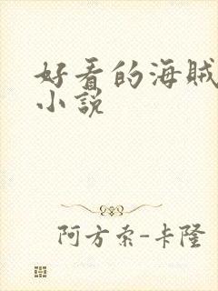 好看的海贼同人小说