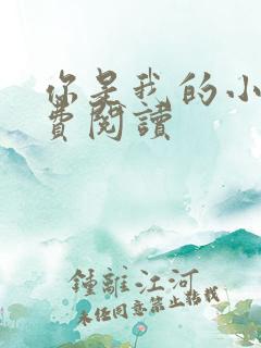 你是我的小说免费阅读