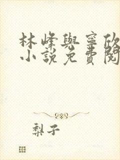 林峰与宁欣正版小说免费阅读最新