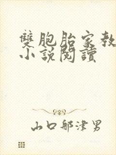 双胞胎家教老师小说阅读